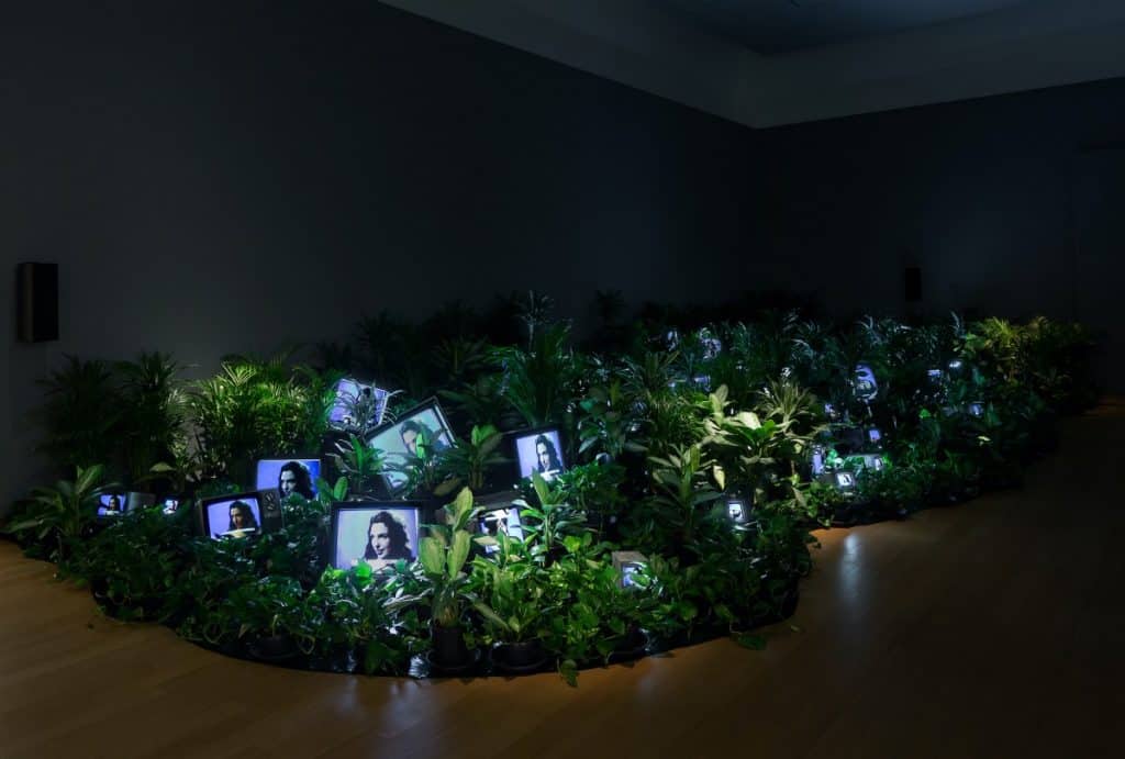 TV Garden, de Nam June Paik