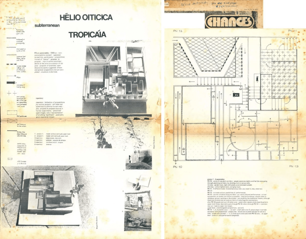 helio oiticica